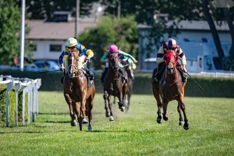 Mastering Horse Racing Betting: A Business‑Driven Guide Mastering Horse Racing Betting: A Business‑Driven Guide